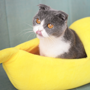 Cama de invierno para gatos, suministros universales para mascotas pequeñas, en forma de plátano, para interior, 2021 - Product Image 3
