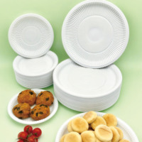 Prix d'usine Assiettes de fête jetables Conception moderne compostable PP micro-ondable pour les fêtes Anniversaires Utilisation dans la cuisine