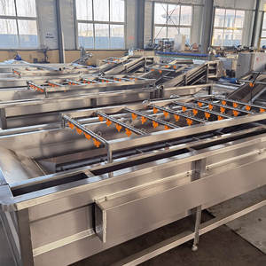 Industriële Druivenwasmachine Doorlopende Reiniging Bubbel Groentewastransportband - Product Image 4