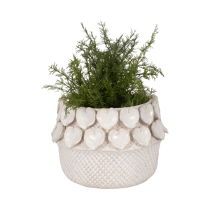 Elegante Vaso in Ceramica con Design a Cuore per Decorazione Piante da Interno ed Esterno - Product Image 2