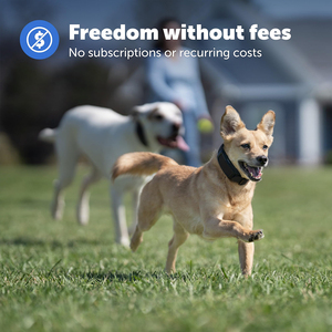 Clôture électronique sans fil fiable <span class=keywords><strong>pour</strong></span> chiens, contrôle des aboiements <span class=keywords><strong>pour</strong></span> chiens joueurs, couvre jusqu'à 3000 m² - Product Image 3