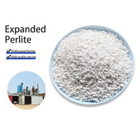 Perlite expansée horticole blanche en granulés 1-3mm, Conditionneur de sol poreux pour la germination des semences et les mélanges de rempotage