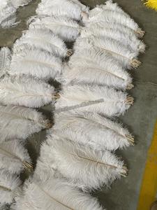 ขนนกกระจอกเทศสีขาวธรรมชาติขนาดใหญ่ 50-55 ซม. สำหรับงานปาร์ตี้ งานรื่นเริง ชุดแต่งกาย งานแต่งงาน ของตกแต่งงานเทศกาล งานประดิษฐ์ดอกไม้ - Product Image 3