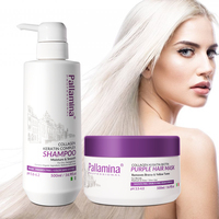 Masque capillaire violet Pallamina Neutralise les tons cuivrés et jaunes Hydrate et répare pour des cheveux éclatants Masque capillaire à la kératine violette