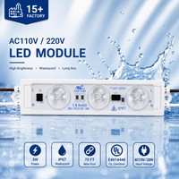 Modul LED Tahan Air 3W Tegangan Tinggi AC 110V 220V Tanpa Perlu Driver untuk Penerangan Rambu LED dan Penerangan Huruf Rambu