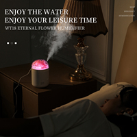 Nouveau mini humidificateur d'air personnel USB de bureau, portable, à brume fraîche, pour la maison, avec veilleuse colorée