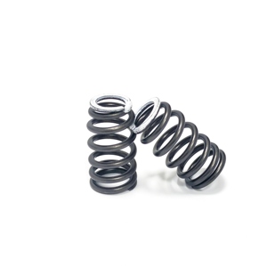 Custom Performance <strong>Valve</strong> <strong>Spring</strong> Compression <strong>Springs</strong> Coils <strong>for</strong> Machinery Engine Racing Parts - Product Image 6