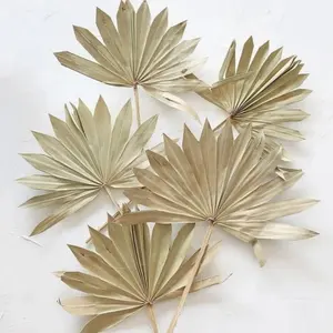 O-021 Sum Flora 2022 Popular Natural Preserved Mini Palm Leaves Wedding & Home Decoration Dried Palm Leaf