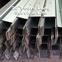Système de cages automatiques pour poules pondeuses de type H avec système d'alimentation, d'abreuvement, de collecte des œufs et d'évacuation du fumier pour les grandes exploitations avicoles