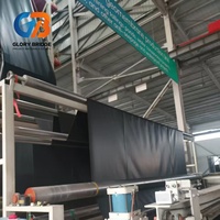 Membrane imperméable en HDPE, géomembrane noire en rouleau pour bassin à poissons, barrage, décharge, réservoir, parc, projets d'aménagement