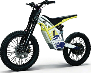 <span class=keywords><strong>HUS</strong></span> <span class=keywords><strong>E</strong></span> Bike V2 Pro - Product Image 1