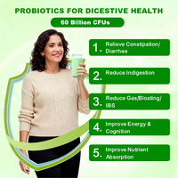 OEM Immunité corporelle Boisson alimentaire Poudre de racine de betterave probiotique Mélange digestif pour la santé digestive Additifs Poudre de probiotiques