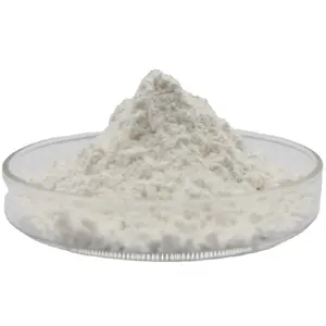 Holly Supply High Quality DCP Dicalcium Phosphate Powder 7757-93-9 With Best Price