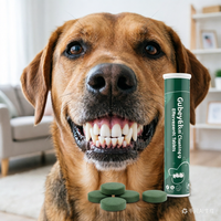Complément dentaire effervescent de qualité supérieure pour chiens et chats, fourni par l'usine, pour l'élimination de la plaque dentaire et du tartre