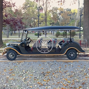 Autobús Turístico de Parque de Atracciones Estilo Antiguo 2025, Auto Clásico Eléctrico, Auto Clásico Vintage, Carrito de Golf - Product Image 2