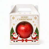 Großhandel Maßgefertigte Weihnachtsapfel-Geschenkbox, Karton-Obstverpackungsbox mit Griff & Rechteckigem Fenster