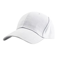 Casquette de baseball personnalisée brodée de haute qualité avec logo pour hommes Casquette de baseball personnalisée professionnelle