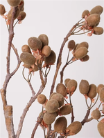 Branches artificielles de kiwi en plastique Yida, tiges de baies, décoration minimaliste Wabi Sabi pour vase, centre de table et photographie