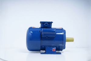 Motor Eléctrico Monofásico de Inducción de 1HP, 0.75KW, 210-230V, 1440RPM, TEFC, CSCR, Cuerpo de Acero Suave, Montaje en Base - Product Image 3