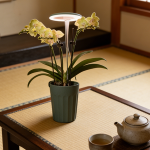Lámpara LED para Orquídeas con Maceta Decorativa de Autorriego, Juego de Macetas Modernas con Asa para Decoración del Hogar, Oficina y Jardín - Product Image 6