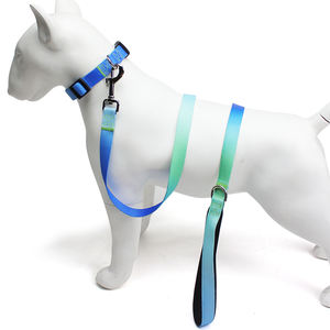 सामरिक कुत्ते प्रशिक्षण कॉलर और लीश सेट सेट एडजस्टेबल फैशन हैंडल बंजी नायलॉन धातु के साथ आसान चलने के लिए - Product Image 3