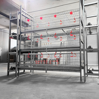 Nouvelle cage à poulets à 4 niveaux de type H, à haute efficacité, pour usage commercial, cage à volailles empilée, cage à poulets en acier galvanisé, système d'élevage en ferme