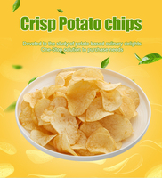 Snacks de Verduras Fritas Saladas, Crujientes y Listas para Comer, Papas Fritas Crujientes de Alta Calidad a Precio de Fábrica para Venta al por Mayor