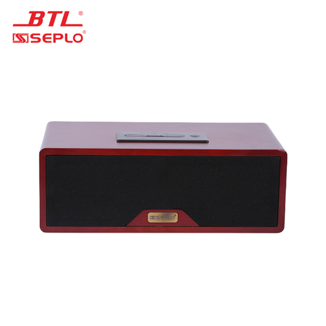 Luxury High Quality Professional Karaoke Player Party Support BT/ AUX / XLR / RCA / USB / Home Speaker