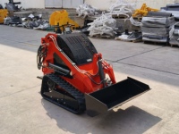 Chargeuse compacte sur pneus de haute qualité EPA Euro5 avec plusieurs accessoires de travail pour les travaux agricoles et de construction