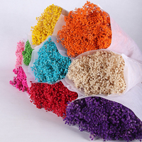 Bunga Baby's Breath Awet 400g Grosir, Ranting Gypsophila Alami untuk Dekorasi Rumah, Pesta, dan Pernikahan