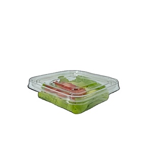 Square Tamper Evident Container Disposables Food Case Box Fries Container Takeaway Salad Plastic PET Snack OEM Candy Containers
