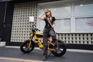 750W 48V <strong>Bicycle</strong> for Men 48v <strong>Bicycle</strong> for Girls <strong>Bicycle</strong> for Women - Product Image 3