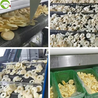 Best verkochte Chinese gedroogde fruitproducten, gezonde droge voeding, appelringen