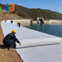 Bâche géosynthétique en bentonite aiguilletée, résistante aux UV, durable pour la couverture finale des décharges et l'utilisation comme couvercle.