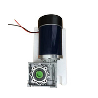 Moteurs à courant continu 24v 12v 3000rpm Maxon Motor Moteur à engrenage à vis sans fin à couple élevé