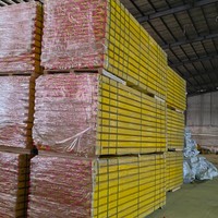 Poutre en bois H20 Doka Premium durable et économique de 2,9 m, 3,9 m, 5,9 m, pour cadre de construction robuste