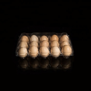 Khay Đựng Trứng/Hộp Đựng Trứng Bằng Nhựa Dùng Một Lần Giá Nhà Máy 15 Lỗ - Product Image 1