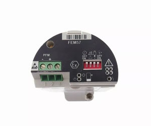 NEW-E+H-ORIGINAL FEM57 52026501 PFM 2 WIRE SOLIPHANT รุ่นใหม่ E+H ของแท้ FEM57 52026501 PFM 2 สาย โซลิแฟนท์ - Product Image 1