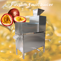 Industriële passievruchtensapmachine, commerciële passievruchtensapmachine, verwijdert de pitjes