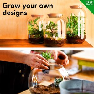 Kit Terrario Fai-da-Te PYEF CRAFTS per Creare un Ecosistema Autonomo, Include Succulente <span class=keywords><strong>in</strong></span> Barattolo di Vetro da 68 oz, Prodotto negli USA - Product Image 5