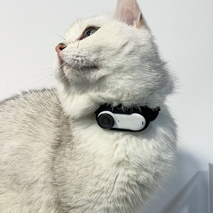 इंस्टाग्राम 360 गो <span class=keywords><strong>3</strong></span> विस्तार स्ट्रैप सिलिकॉन के लिए कैमरा सिलिकॉन केस - Product Image 2