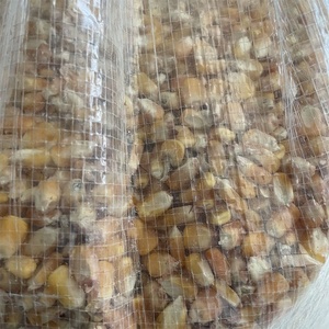 Sacs tissés <span class=keywords><strong>en</strong></span> PP bon marché fabriqués <span class=keywords><strong>en</strong></span> Chine, 25 kilogrammes par paquet, pour le maïs, les céréales, les pommes de terre, le riz, le <span class=keywords><strong>café</strong></span> - Product Image 4