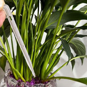 Penetes Air Model Panah untuk Selang 1/8 Inci, Irigasi Tetes Bawah Tanah, Rumah Kaca, Kebun, Tanaman, Emitter Tetes - Product Image 6