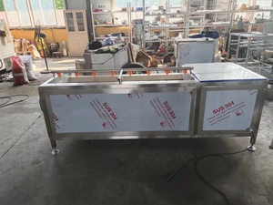 Công nghiệp bàn chải con lăn loại hành tây và gốc sắn cà rốt gừng tươi khoai tây máy giặt Peeler rửa máy lột giá - Product Image 5