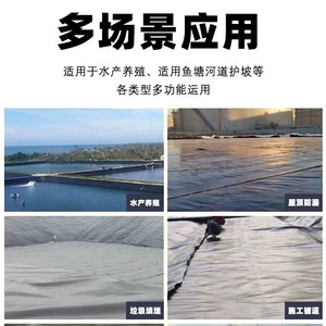 Yuante Hdpe Geomembrane Roll 0.2mm 0.5mm 1.5mm 2.0mm Black Film Grade Chemical Resistance Landfill Impermeable Membrane - Product Image 2