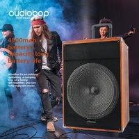 Enceinte portable de karaoké avec microphone sans fil, design ergonomique, pour danse en plein air et stand de sonorisation de rue