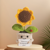 Cadeau pour enseignant : Plante en crochet avec plaque personnalisée, tournesol, décoration de bureau pour l'appréciation des enseignants