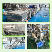 Machine voor het maken van uienpoeder, groenteverwerkingslijn, uienpoederverwerkingslijn, uienpoederproductielijn