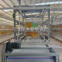Équipement d'alimentation et d'élevage de pigeons Weida, support multifonctionnel pour pigeons pour machine d'alimentation automatique et soins des oiseaux