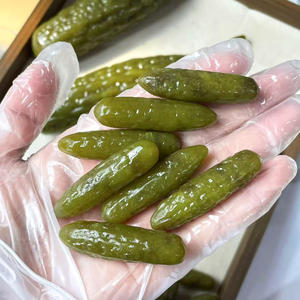 Pepino encurtido de jade verde al por mayor, tallado a mano, piedra curativa, pepino ácido tallado a mano para regalo DIY - Product Image 2